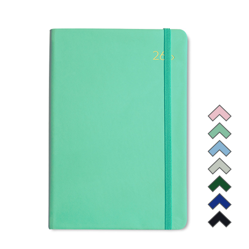 2026 DV PRO3 ���� 32�� ���̾